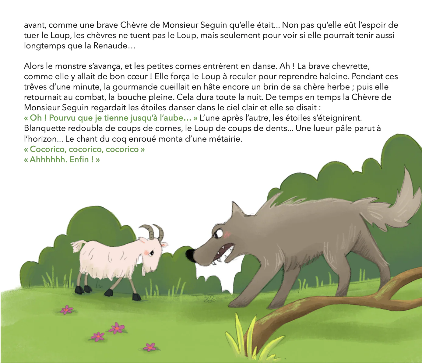 Image du produit 26