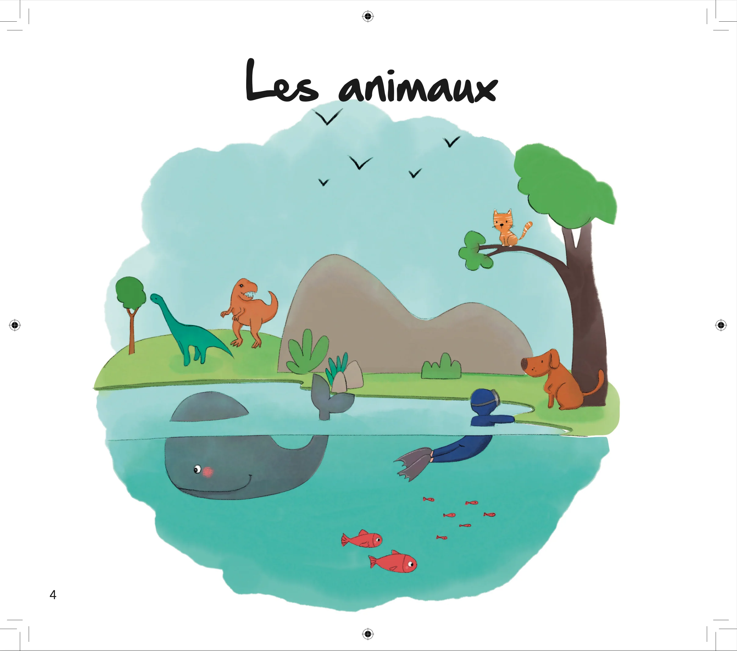 Image du produit 12